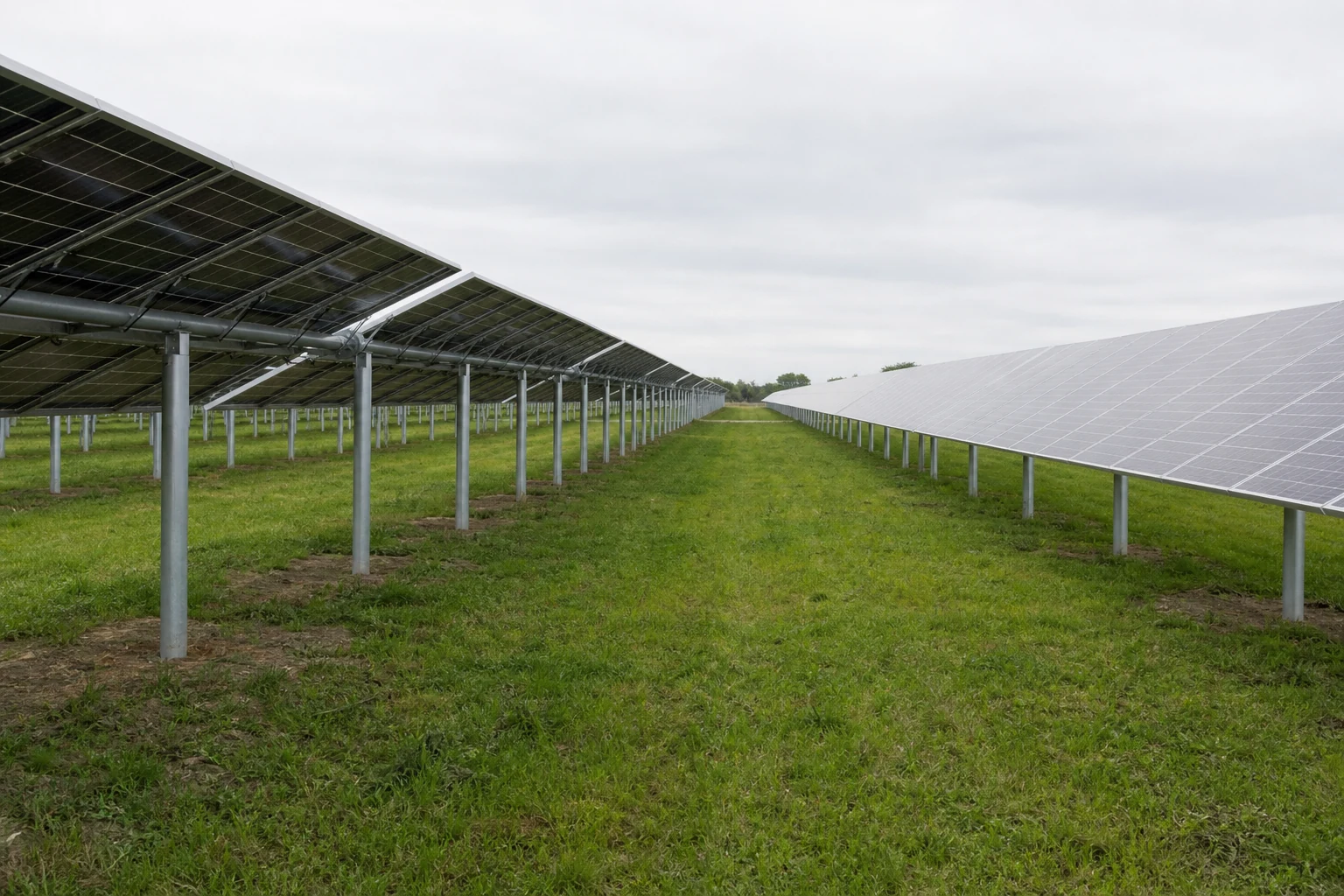 Ground-mounted photovoltaic rows